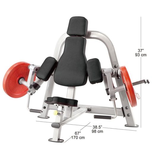 Steelflex Bicepszgép (PLBC)