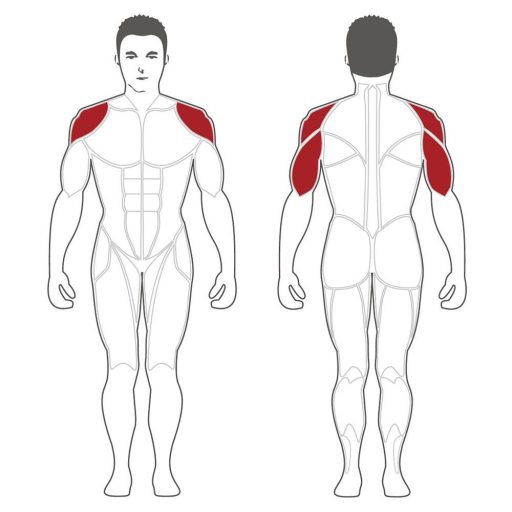 Steelflex Vállnyomógép (PLSP)