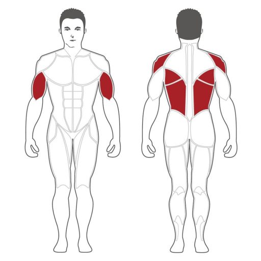 Steelflex Melltámaszos hátgép (PLSR-BR)
